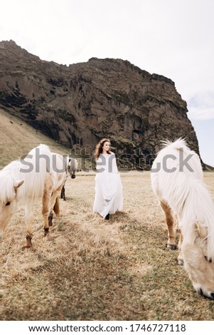 The bride in a white wedding dress walks across the field among cream horses with chic manes. Destination Iceland wedding photo session with Icelandic horses. 