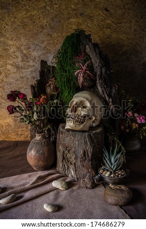 Still life with human skull desert plants and dried flowers 