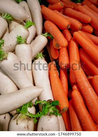 Photo spring food vegetable carrot and Radish