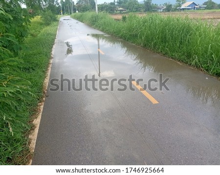 The road background is made of concrete, waterlogged during the rainy season.