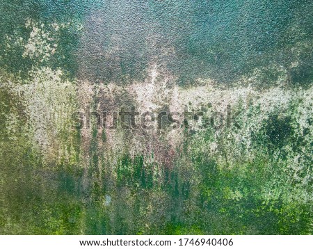 Old white stone concrete wall with a green mossy background Royalty-Free Stock Photo #1746940406