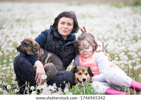 Mother and daughters with cute little dogs posing on the meadow full of fluffy dandelions.