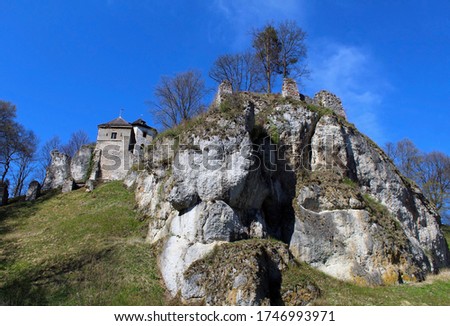 Early spring view in Jura, Ojcow, Poland. Castle in the national park.  Calcareous rocks.