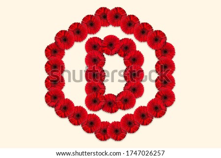 Letter D Daisy flower alphabet Logo with hexagon shape on isolated background. Decorative Floral Letter Logo