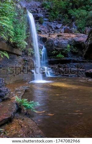 Tropical waterfall in the forest. Nature background. Wentworth falls waterfall in Blue Mountains, Australia 