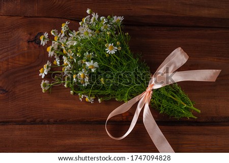 Blooming fresh camomiles bouquet with ribbon bow on wooden background. Beautiful chamomile flowers with green leaves. Floral Valentine's Mother's Women's day greeting card with copy space text sign.