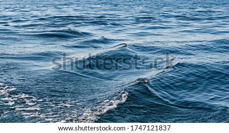 Sea or lake rippled water texture. 