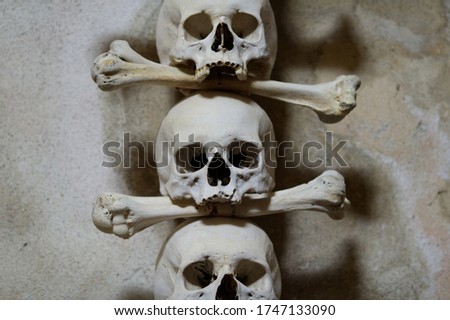 skulls scare, white bone background
