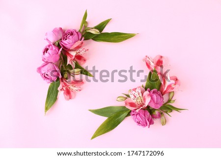 Rose buds frame on pink background. Flat lay, top view floral greetings concept.