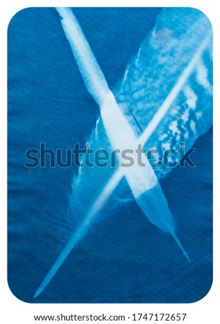 Cyanotype photography, solar photo, special photography method 
