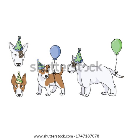 Cute cartoon bull terrier dog breed party set vector clipart. Pedigree kennel show dog lovers. Purebred domestic pooch for celebration illustration. Isolated canine puppy with snout. EPS 10