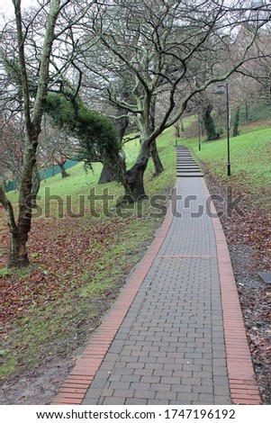 Long path inside a green park