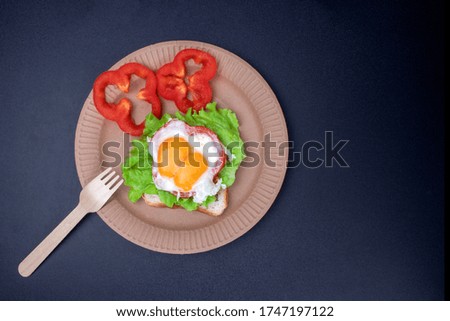 Sandwich with egg and lettuce isolated. Food concept. Copy Space for design