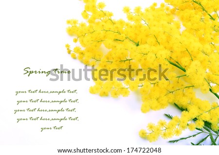 Spring Time Royalty-Free Stock Photo #174722048