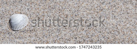 texture of beach sand background