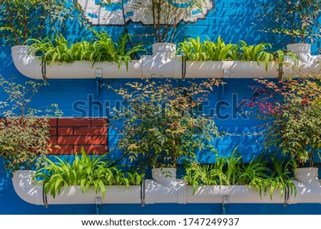 Plants and flowers and cartoon patterns in the streets of beautiful Xi'an City, Shaanxi Province, China in spring
