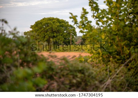 A Ploughed field at sunset