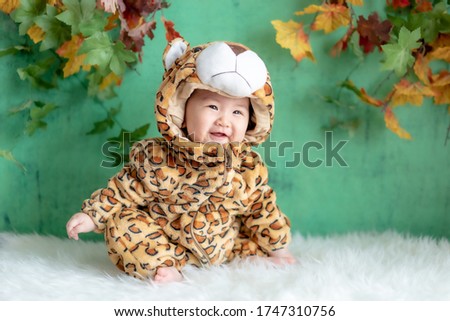 Cute Little Baby in Tiger Costume. Asian Baby wearing Tiger Suit for Halloween