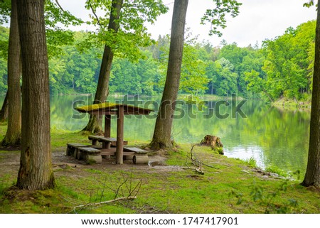 Pond near czech castle Konopiste near Prague in Czech republic Royalty-Free Stock Photo #1747417901