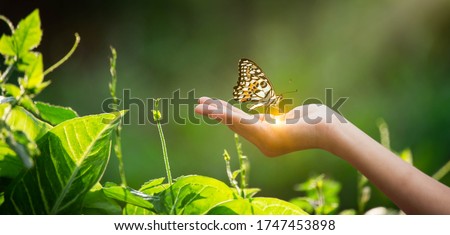 A butterfly on hand. Wildlife in nature or environment day concept. Earth day campaign protecting from global warming.Management for sustainable