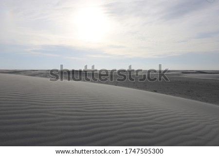 Beautifully raised sand humps on a large beach on a Dutch island.