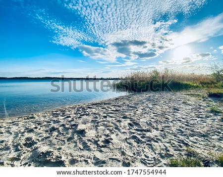 Lake between islands in Poland. Clear sand on the coast. Natural environment for animals. Nature is amazing. Lakes are better than sea and mountains. Pogoria 4 Dabrowa Gornicza IV. Summer lockdown. 
