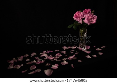 Pink rose and flower petals on a table in a vase on a black background. Low key photo with flowers