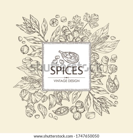 Background with hearbs and spices: turmeric root, bay leaf, cardamom seeds and coriander sseds. Vector hand drawn illustration.