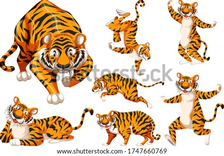 Set of tiger character illustration