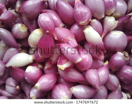clean peeled onions stock photo