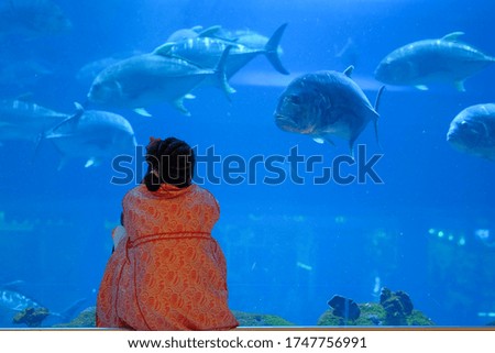 A girl is looking at the fish in the aquarium.