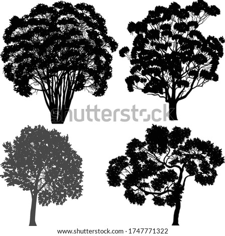 illustration wth large trees isolated on white background