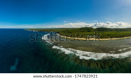 Panoramic picture of pacifico city in siargao, philippines, surounded by coconut trees, its beach, its surf spot, and the sea