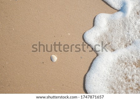 The beach with sea shell and wave foam. Sea summer background concept.