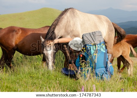 Hiker is wtaching horses in mountains 