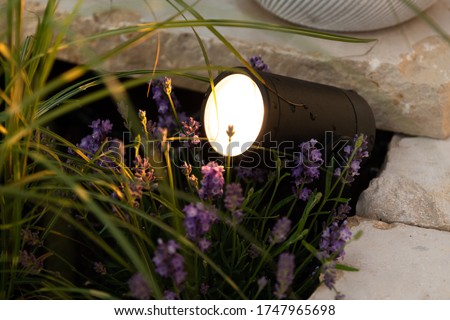 Ambient lighting on terrace and garden with rgb spots Royalty-Free Stock Photo #1747965698