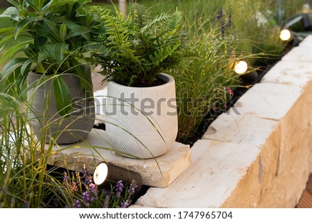 Ambient lighting on terrace and garden with rgb spots Royalty-Free Stock Photo #1747965704