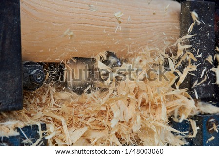 A saw cuts a hole in a log. Logs for a felling