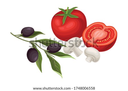 Vegetables with Tomato, Mushrooms and Olives Vector Composition