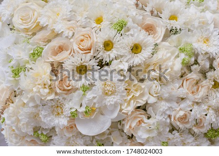 Bunch of beautiful delicate pastel  flowers
