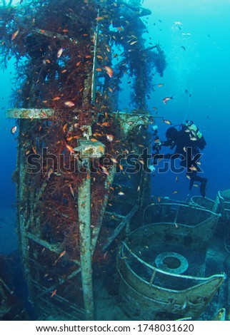 
Scuba Divers Exploring underwater ship wreck in Israel
