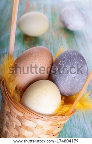 Background with Easter Eggs in a Nest
