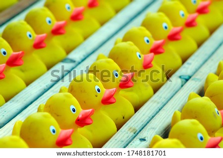 a bunch of yellow plastic ducks with red beaks, toy animals