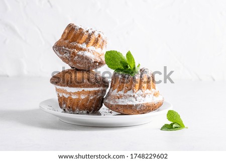 Fresh homemade muffins with cottage cheese decorated with mint leaves on white background. Tasty and healthy dessert on the table.
