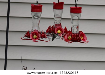 Hummingbird hovering at a red and yellow feeder containing nectar.