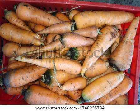 carrots that have been washed clean