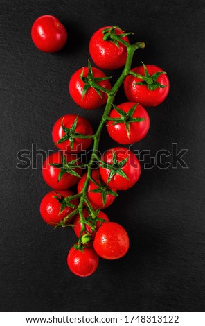 Branch of ripe red cherry tomatoes. Flat lay, black stone background, drops of water on tomatoes.