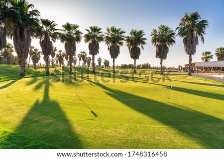 Beautiful golf course with green grass. On the Sunset Portugal, Algarve.