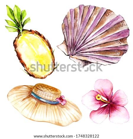 set of watercolor elements hand-drawn on a white isolated background tropical flower, shell, pineapple, sun hat for use in design, textiles, postcards, cover, wallpaper