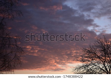 Silhouette Bare Trees Against Dramatic Sky During Sunset. Stock Photo